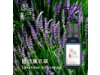 醒目薰衣草Lavandin oil-10ml