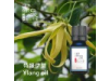 特級依蘭 Ylang Ylang oil--10ml