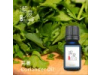 芫委  Coriander oil-10ml