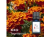 萬壽菊Tahettes oil-10ml