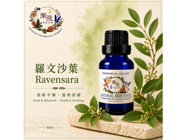羅文沙葉 Ravintsara  oil-10ml