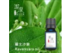 羅文沙葉 Ravintsara  oil-10ml