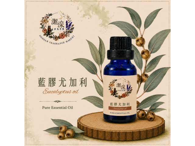 藍膠尤加利 Eucalyptus oil-10ml
