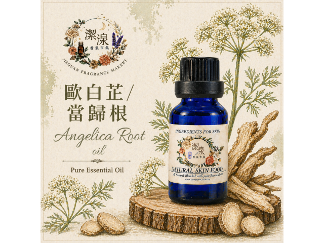 歐白芷/當歸根Angelica Root -10ml