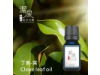 丁香-葉 Clove Leafoil-10ml