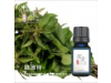 歐薄荷  Peppermint oil-10ml