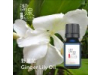 野薑花Ginger Lily oil-10ml