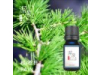 松/松針 Pine oil-10ml