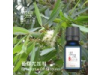 藍膠尤加利 Eucalyptus oil-10ml