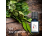 月桂精油  Bay Laurel oil 10ML