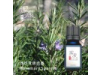 迷迭香 Rosemary oil-10ml