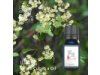 山雞椒/山蒼子 Litsea Cubeba oil-10ml