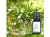 杜松果 Juniper Berry oil-10ml