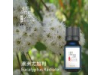 澳洲尤加利Eucalyptus Radiata oil-10ml