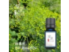 蒔蘿 Dill oil-10ml