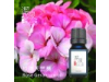 玫瑰天竺葵 Rose Geranium oil -10ml
