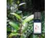 茶樹 Tea Tree oil-10ml