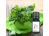 羅勒 Basil Oil-10ml