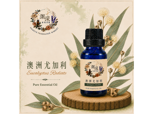 澳洲尤加利Eucalyptus Radiata oil-10ml