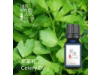 芹菜籽Clery oil-10ml