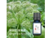 歐白芷/當歸根Angelica Root -10ml