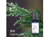 絲柏  Cypress oil-10ml